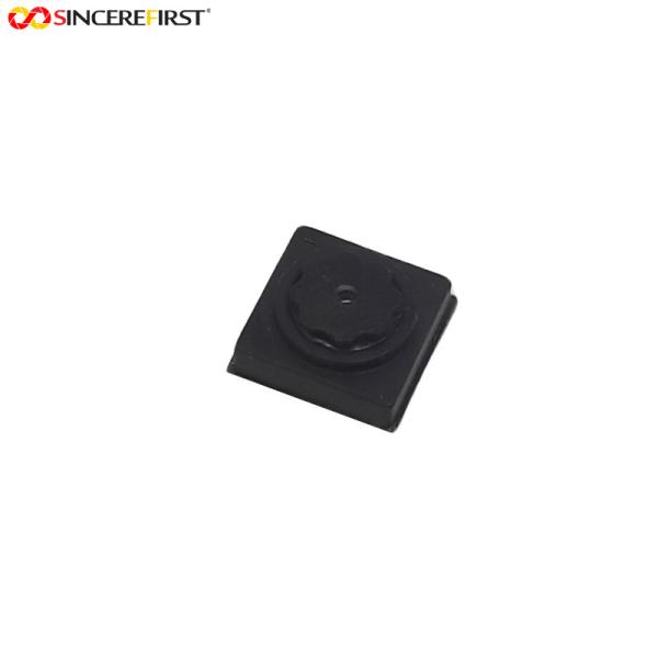 0.3MP 24 Pin VGA DVP Fixed Focus CMOS Camera Module GC0309 62 Degree