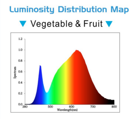 DC 24V Linear Full spectrum Led Lamp Module 98CRI for Supermarket Lighting