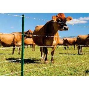 Best Budget V Mesh Security Fencing Basic Protection wholesale