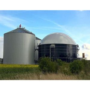 Movable Industrial Anaerobic Digestion Machinery Automatic