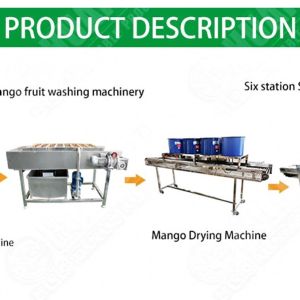 Fruit Washer / Vegetable Washing Machine Clean Vegetable Processing Line Fruit