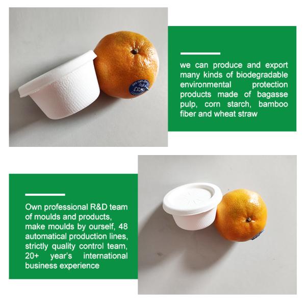 Biodegradable 3g 2oz Eco Paper Cup Cover Sugarcane Bagasse Ice Cream Cup Paper Lid