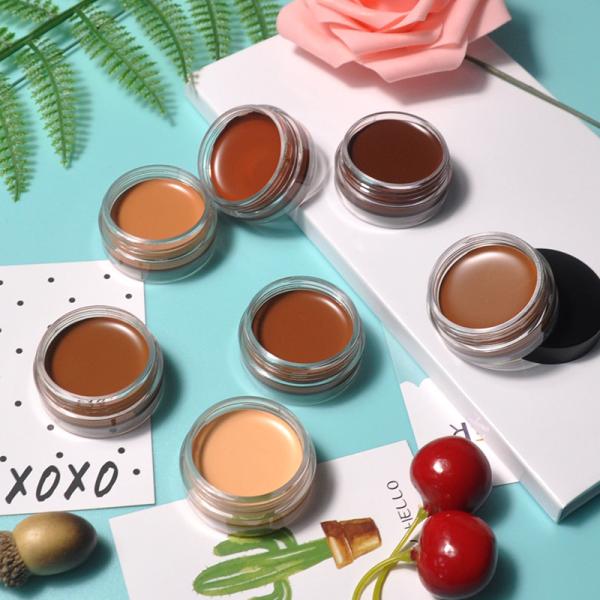 10 Colour Makeup Contour Palette Cream Concealer Kit Highlighter Contour Blush Palette