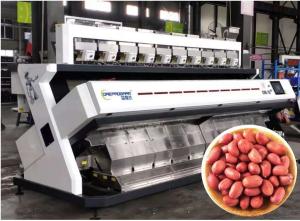 China Precise Rejection Peanut Sorting Equipment , 640 Channels 5t/h Kernel Sorting Machine on sale