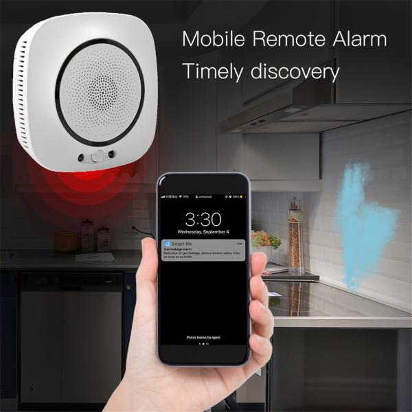 Smart Wi-Fi LPG/CH4 Gas Detector(WiFi-818)