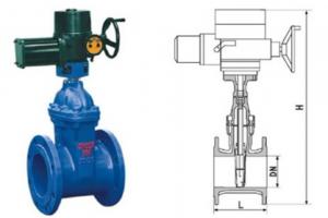 Best RVEX electric resilient seated gate power station valve grey cast iron 50 - 400mm wholesale