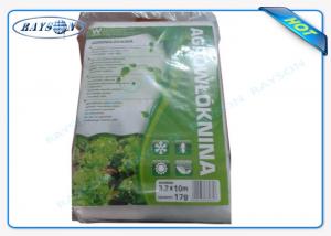 Best White Color PP Nonwoven Fabric for Reducing Pest And Diseases Of The Tree wholesale