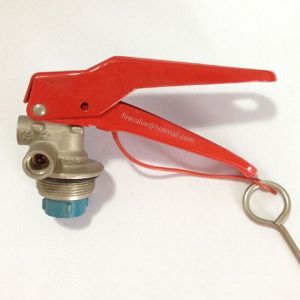 Best cylinder valve for DCP fire extinguisher 6-9kg wholesale