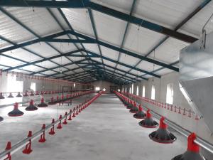 Best H Section Steel Commercial Chicken House Prefabricated Steel Structure wholesale