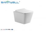 SWM9310 Commercial Washdown Rimless Toilet With UF Seat Cover Wall Hung Toilet