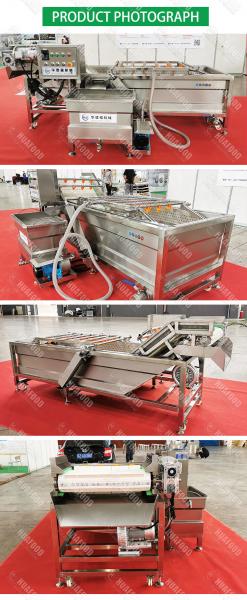 Water Recycle CE 500kg/H 3.75KW Potato Washing Machine