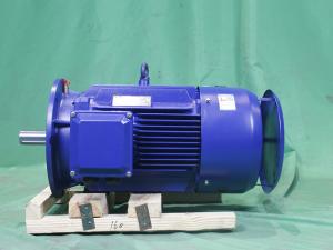 China YE3-160L-6-11-380V-IP55-Class F-IM B3 Asynchronous Motor 3 Phase Variable Frequency on sale