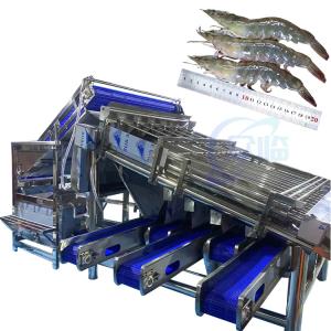 China Shellfish sorting machine shrimp cleaning and sorting machine, automatic shrimp shell grinding, shelling and dethreading on sale