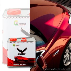 Good Adhesion High Concentration Gloss Clear Coat Varnish