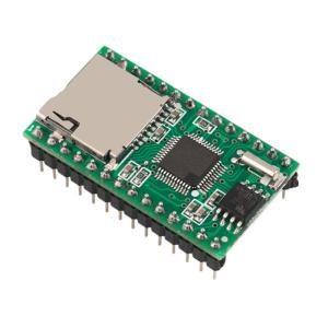 Best RS232 Communication SD Card Module WT5001M02-28P With SPI Interface wholesale
