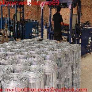 Best fence Hog wire mesh cattle fence galvanized hog wire mesh/Feild Fence & Farm Cattel Fence/pig wire mesh fence goat fence wholesale