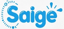 China Shantou Saige toy Co., LTD logo