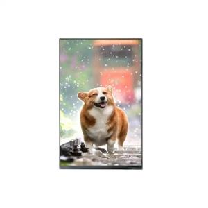 China 4 Lanes MIPI Interface 10.1 Inch LCD Display IPS RGB 800X1280 TFT LCD Modules on sale