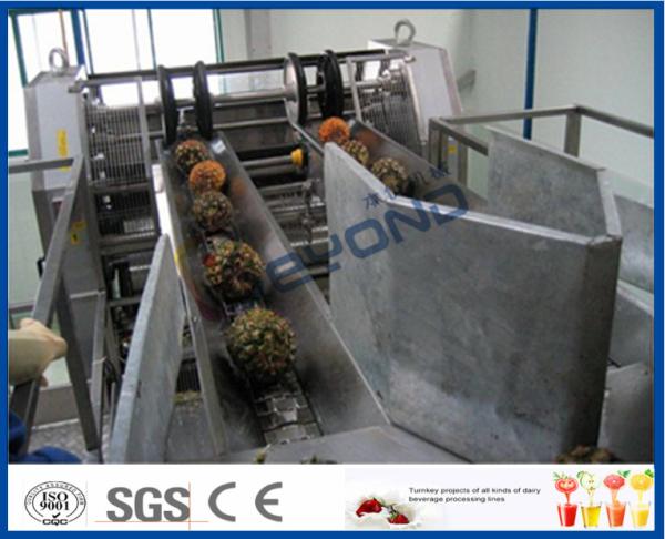 Cheap Fully Automatic PLC Control Pineapple Processing Line For Fruit Juice Processing Machines for sale