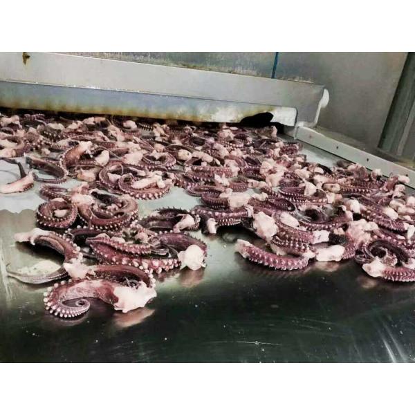 seasoned squid tentacle chemical off white color no additives forzen squid rings with EU standard IQF