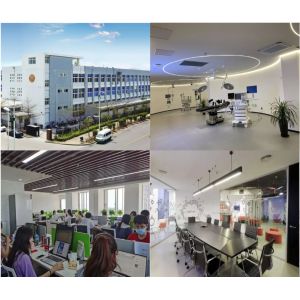 Changsha Dinyi Medical Technology Co., Ltd.
