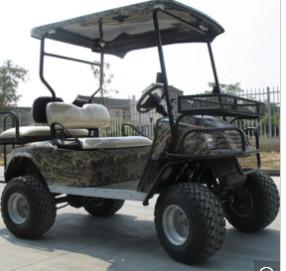 Best Electric Hunting Buggy. Two Seats, Golf Buggy, off Road Buggy wholesale