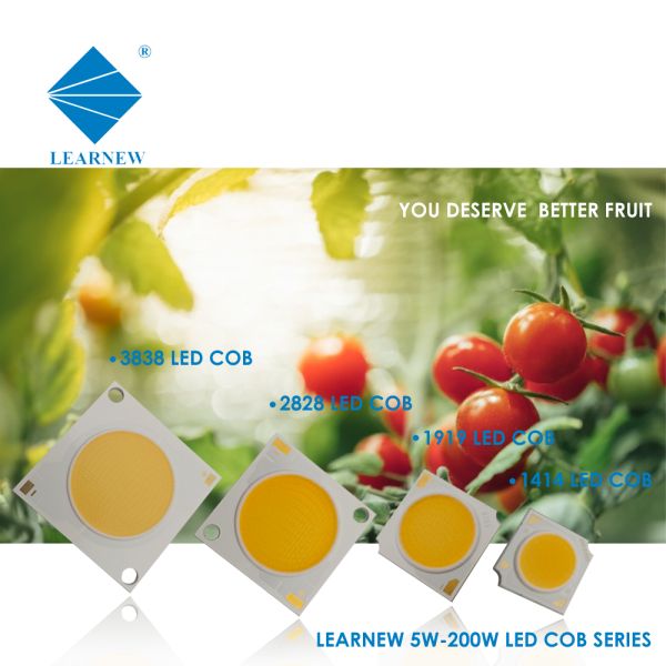 Flip Chip Super CRI 1919 3838 4046 COB LED Diode 10W 300W For Photography Light