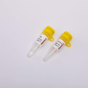 Best Gold Reverse Transcriptase PCR Reagents R3001 2000U wholesale