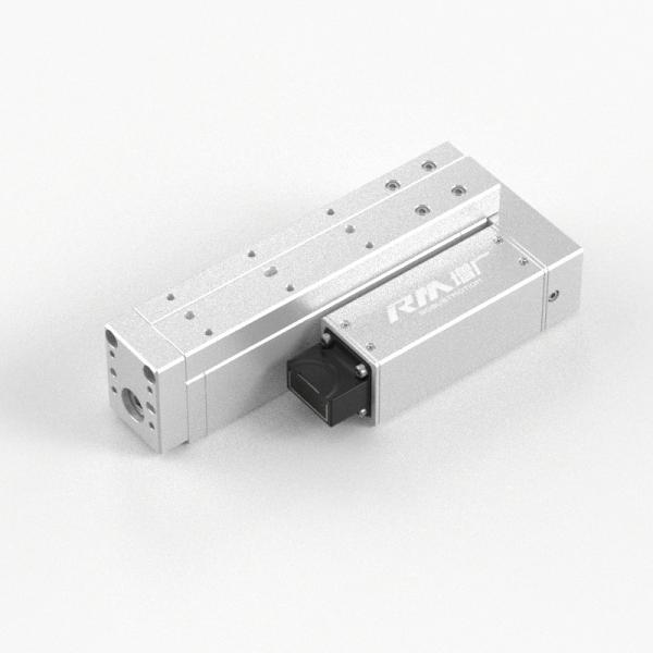 RobustMotion Table Type Electric Linear Cylinder with External Controller,
