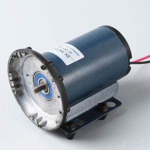 Best FLOWDRIVER DC brush motor LC-ZYT-76B 2310RPM 80W wholesale