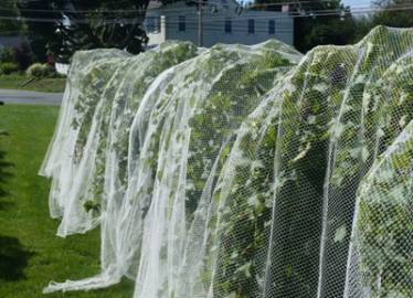 Recyclable Stronger Hex Mesh Insect Netting Mesh High Tensile Strength