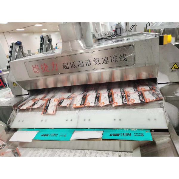 ODM Iqf Machine For Fruits Vegetables Freezer Fresa Strawberry Cooling Quick Freezing Tunnel