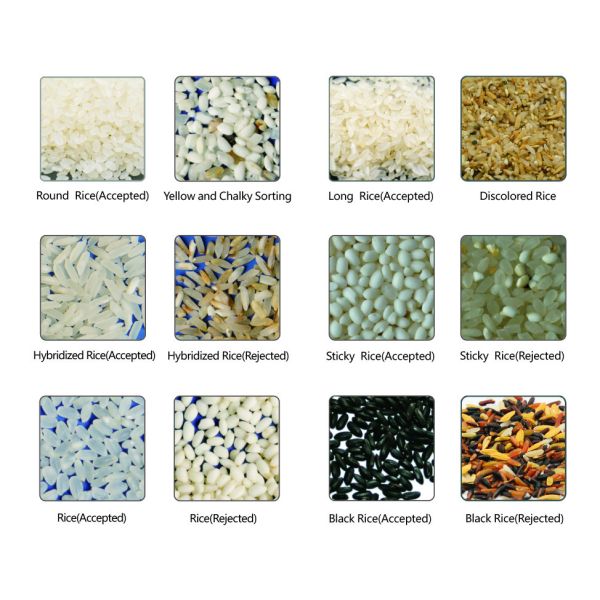 Corn / Wheat / Grain / Beans Color Sorter Machine Multi Purpose High Accuracy