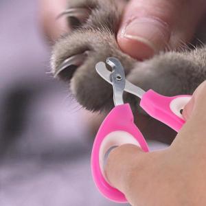 Best Pink Color Pet Nail Scissors , Pet Pedicure Nail Grinder Ergonomic Design wholesale