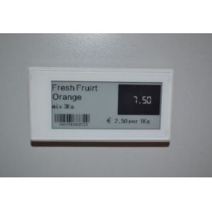 Best convenient professional esl systems for supermarket wholesale