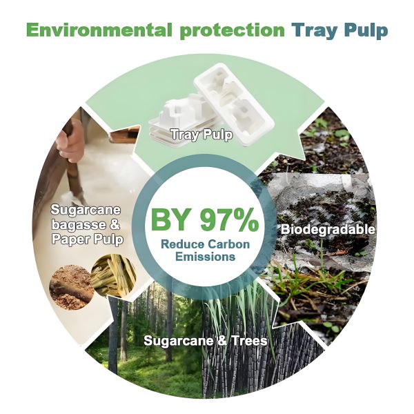 O1CN01nZtOGH1kBuyUpB8VN_!!2214