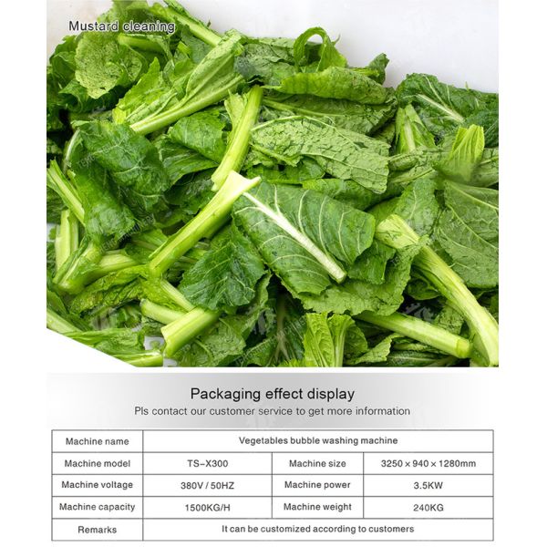 3KW Bubble Circulating Surfing Fruit And Vegetable Washing Machine Ozone Sanitization Bubble