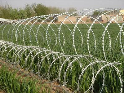 Concertina razor wires are installed along the farmland line.