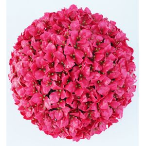 Best Flower Topiary Artificial Plant Balls Plastic Faux wholesale