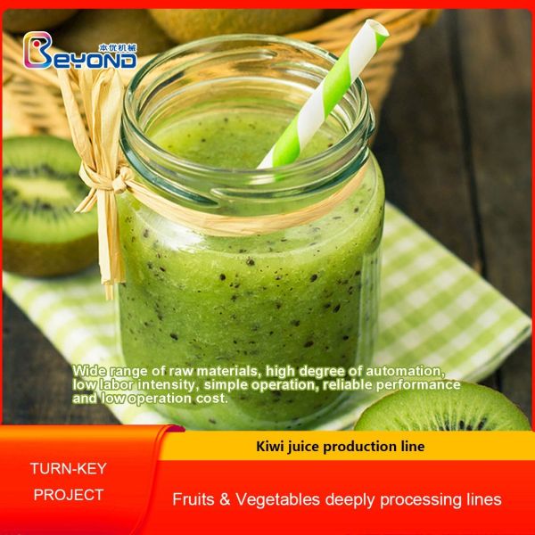 Automatic Industrial Kiwi Juice Making Machine Fruit Juice Production Equipment 380V