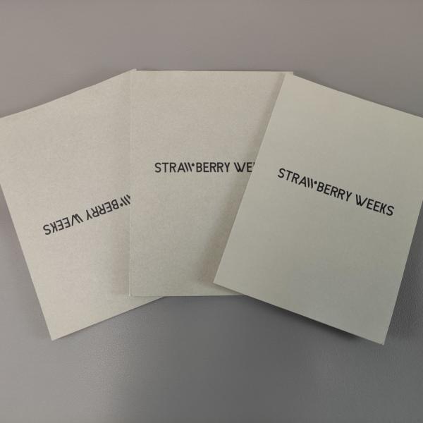 Cheap Custom Design Folded Instruction Booklet Different User Manual Printing for sale
