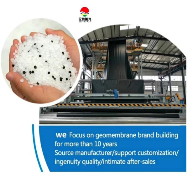 Affordable Shrimp Liner HDPE Geomembrane for Aquaculture Design Style