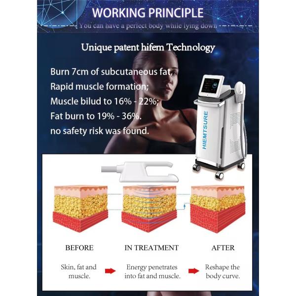 7 Tesla EMS Sculpting Machine 2800W Electromagnetic Muscle Stimulation Machine