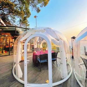 China ROSH See Through 10x10 Bubble Tent Aluminium Frame PC Transparent Camping Tent on sale