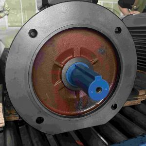 Best Three Phase High Voltage Induction Electric Motor Low Vibration wholesale