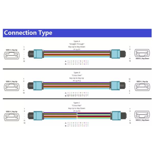 10G 40G 100G 12 Core MPO Cable MTP Trunk Cable SM OM3 OM4 8 12 24 Cores