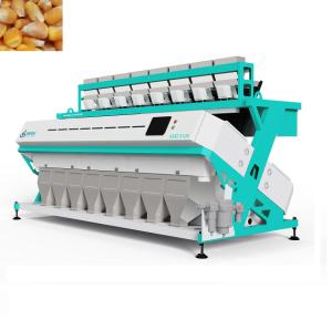 Best Full Automatic CCD 8 Chutes Corn Sorting Machine For Processing Grain wholesale