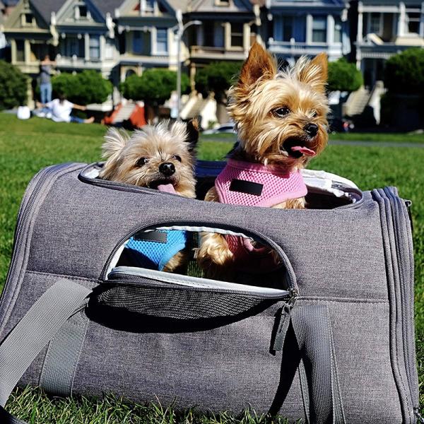 Luxurious Padded Pet Carrier Bag With Removable Roof Bars OEM / ODM Support