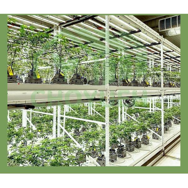 Customized Vertical Farming Seedling Bed Medical Plants Vertical Mobile Grow Racks