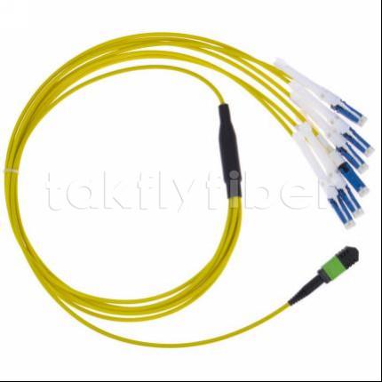24 Core MPO MTP Fiber Optic Connector with APC Simplex SC Connector Type and
